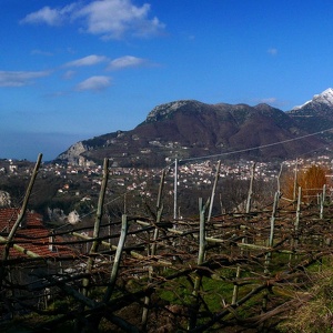 27.1.2013 - dalle parti del cervigliano