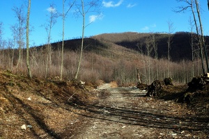 Verso il monte Ciavano