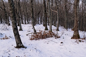 L'alta valle delle ferriere