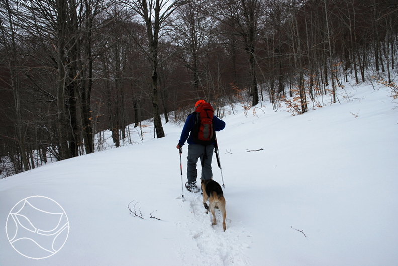 DSC_4715.JPG