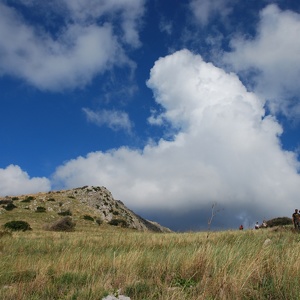 3.11.2013 - punta campanella