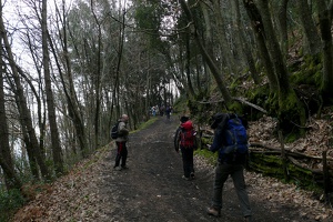 P1500866 c1 r