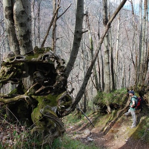 30.3.2014 - monte finestra