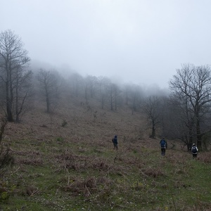 27.4.2014 - orsano - lacco