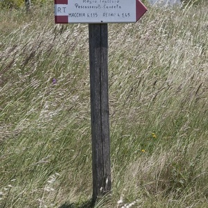 8.6.2014 - regio tratturo nel sannio