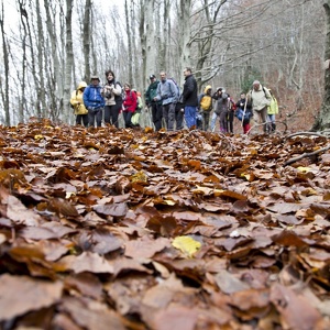 16.11.2014 - i briganti alla piana del lauro