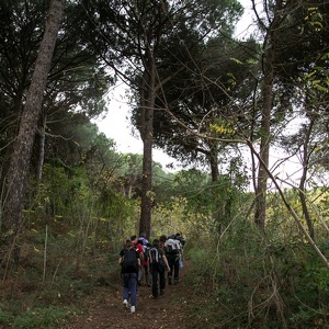 30.11.2014 - vesuvio - il vallone del fico