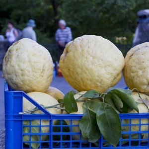 30 maggio - valico di chiunzi - monte faito