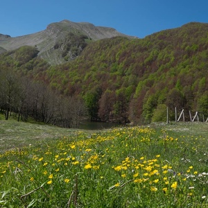 22 maggio - monte papa e sirino