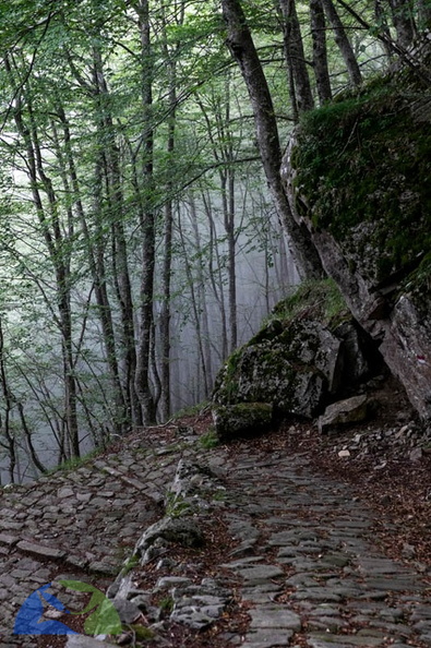 _DSF4693.jpg