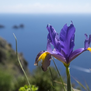 23 aprile - Raduno FIE - Sirenuse