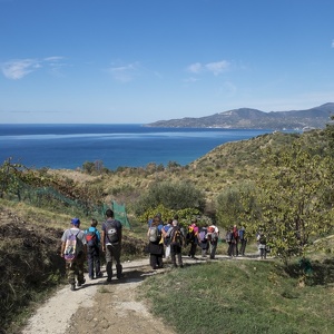 8 ottobre - Punta Telegrafo - Marina di Ascea