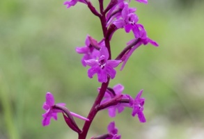  DSF9026