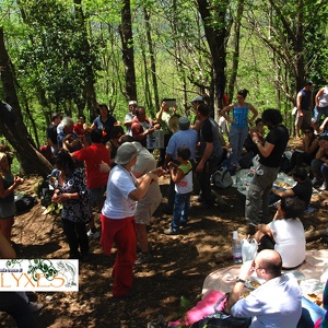 Escursioni 2012