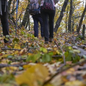 16 novembre - Autunno a S.M.dei Monti