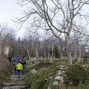 26 gennaio - Circuito di Cospiti