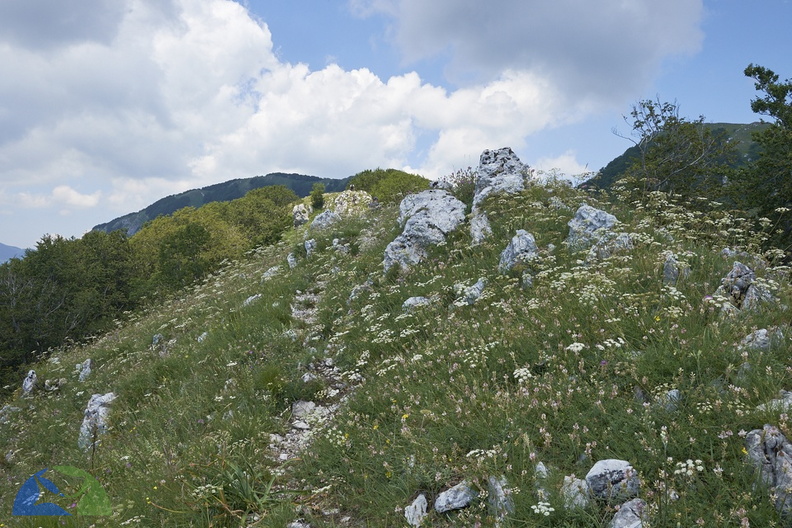 _DSF7740.jpg