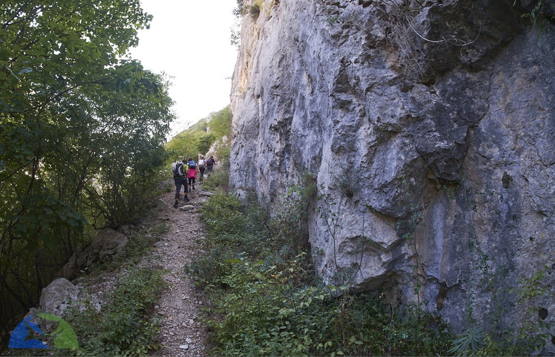 _DSF8745.jpg