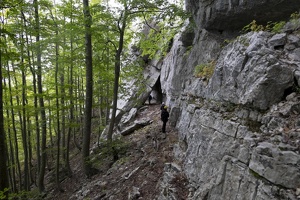 DSCF0917