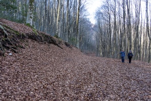 DSCF1279