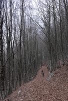 DSCF1336