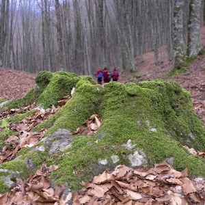 21 novembre - Monte Raiamagra
