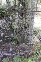 DSCF1521