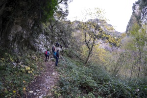 DSCF1572