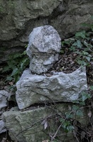DSCF1655