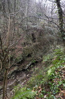 DSCF5326