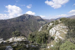 DSCF5468