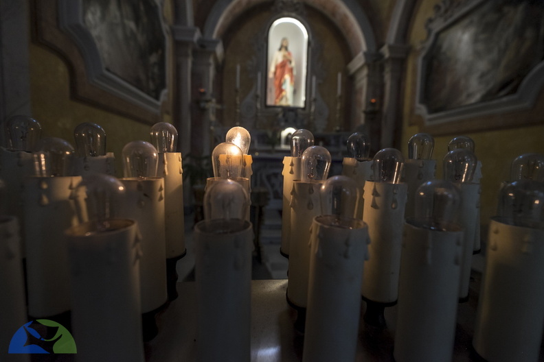 DSCF5517.jpg