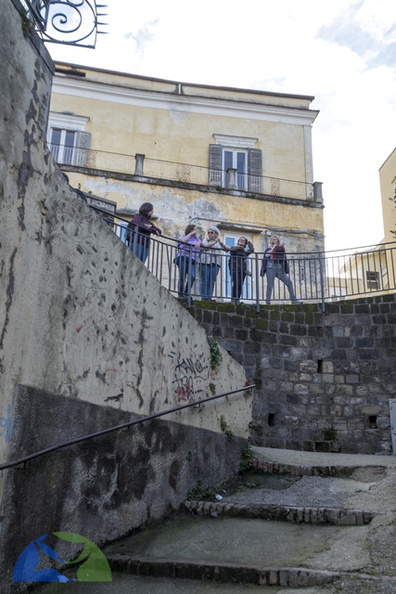 DSCF5549.jpg