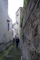 DSCF5573