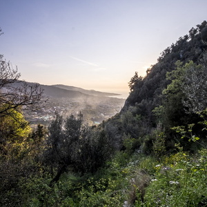 22 aprile 2023 - Meta - Monte Crocione - Meta
