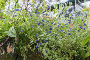 DSCF5826