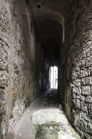 DSCF5828
