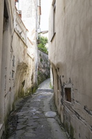 DSCF5829