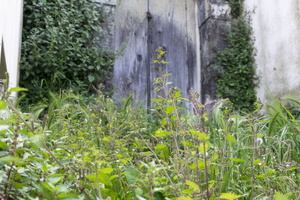 DSCF5831