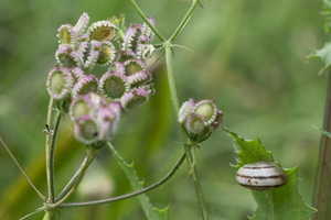 DSCF5844