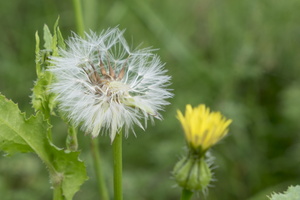 DSCF5846