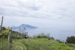 DSCF5862