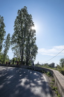 DSCF5904