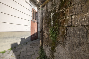 DSCF6006