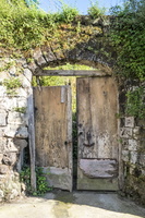 DSCF6018
