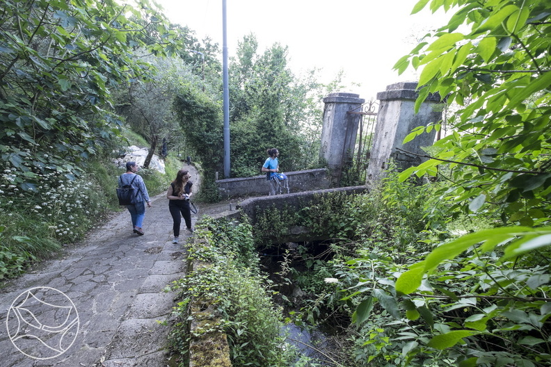 DSCF6036.jpg