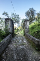 DSCF6037