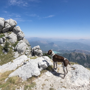 27 agosto - Monte Marrone (IS)