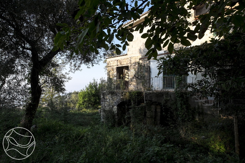 DSCF6375.jpg