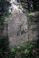 DSCF6693